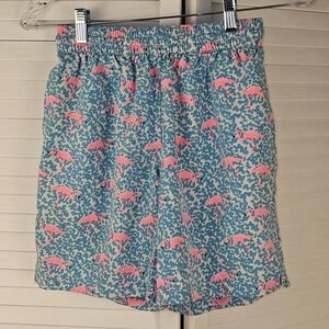 Chubbies Mens Domingos Are For‎ Flamingos Pink Blue Swim Trunks Shorts XS